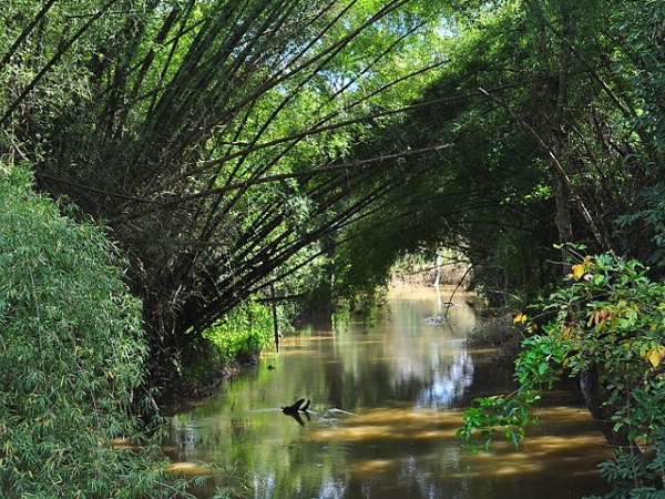  ആയിരം മീറ്റർ ഉയരത്തിൽ
