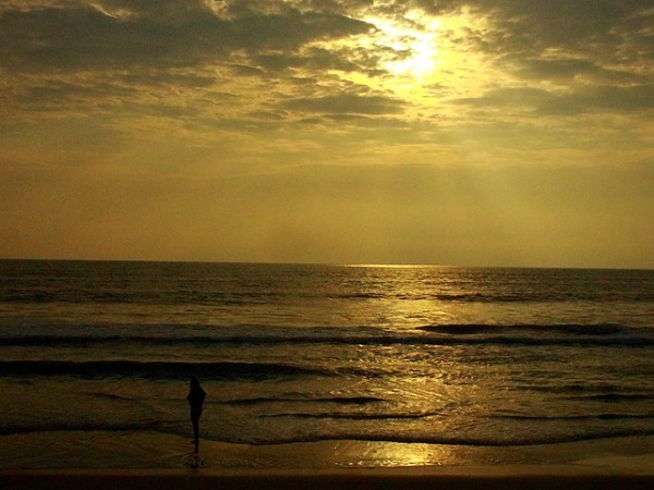 വലിയ പറമ്പ ദ്വീപ്