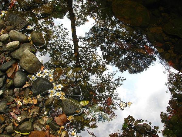 വെള്ളരിമല വാവുൽമല ട്രക്കിങ്ങ് 