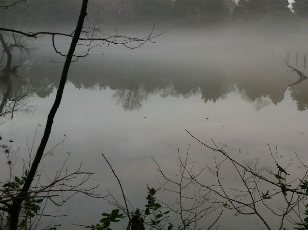 എന്താണിവിടെ നടക്കുന്നത്? 