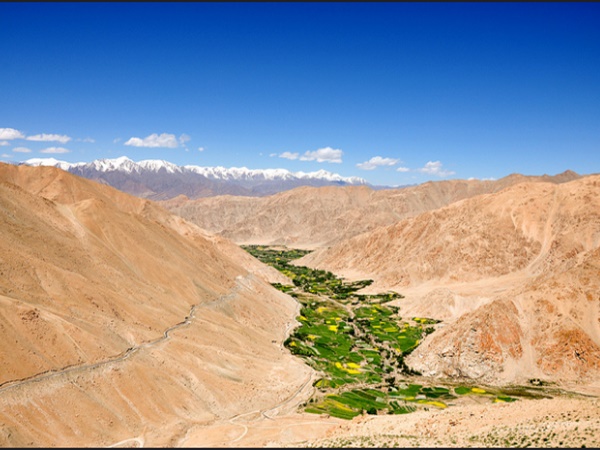 മർസിമിക് ലാ