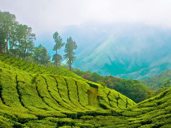 തൃശൂരിൽ നിന്നും മൂന്നാറിലേക്ക്