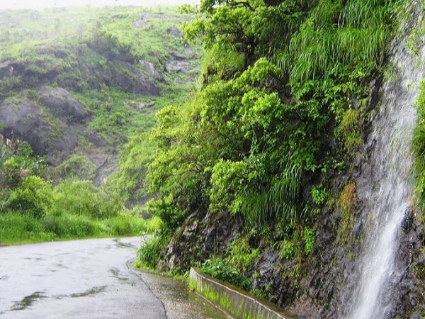 ഇലവീഴാപൂഞ്ചിറ