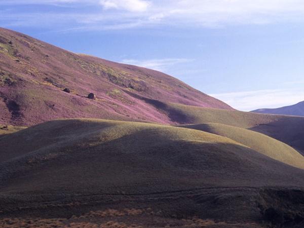 ദിവസം 3500 പേർ മാത്രം