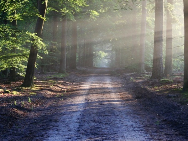 റോൻഗ്രെൻഗിരി