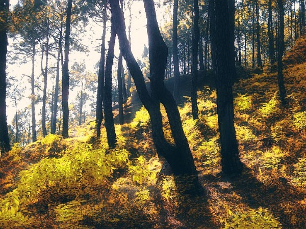 ടൂർ ഡോക്യുമെന്റ് കരുതുക