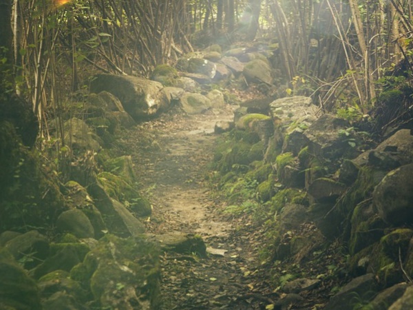 നാകാ ചികോങ്