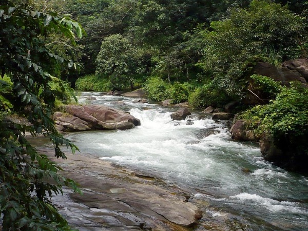 അടിവാരം