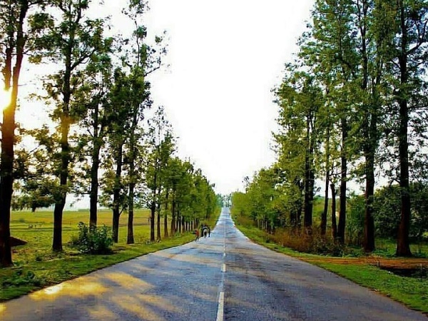 അരാകു വാലി