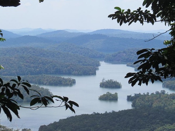 ബോണക്കാട്