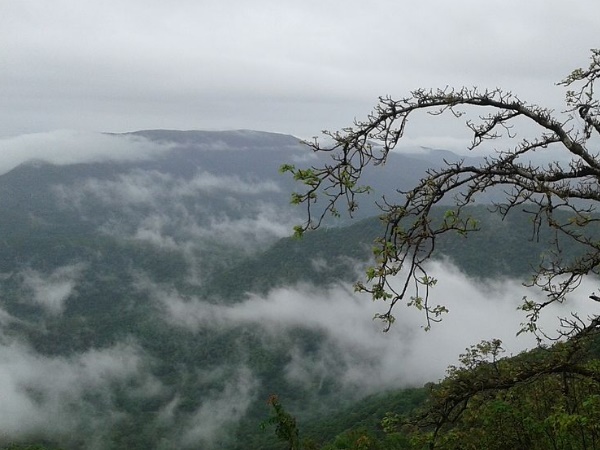 ചോർല ഘട്ട്