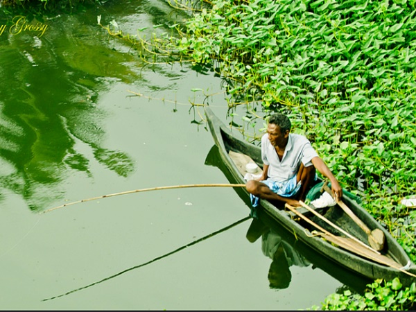 ചൂണ്ടയിട്ട് മീൻപിടിക്കാം!
