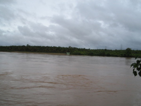 ഗംഗാ മൂല