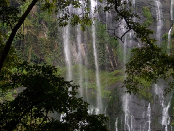 കീഴാർക്കുത്ത് വെള്ളച്ചാട്ടം