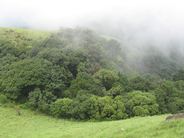 കോട്ടഞ്ചേരി മല