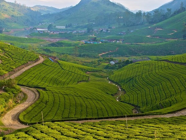 മൂന്നാറിനെ തോൽപ്പിക്കുന്ന സൗന്ദര്യം