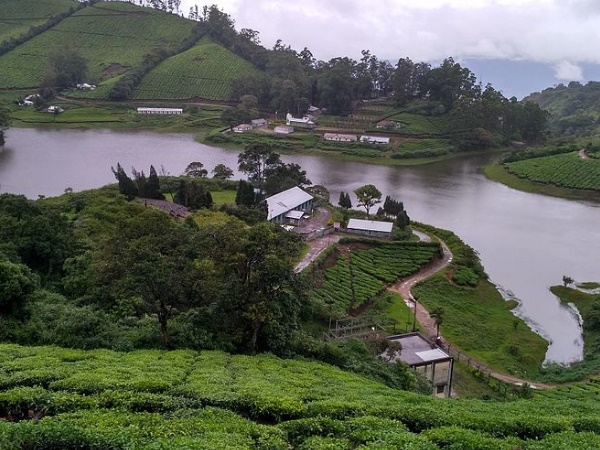 തേയിലത്തോട്ടത്തിനു നടുവിലെ തടാകം