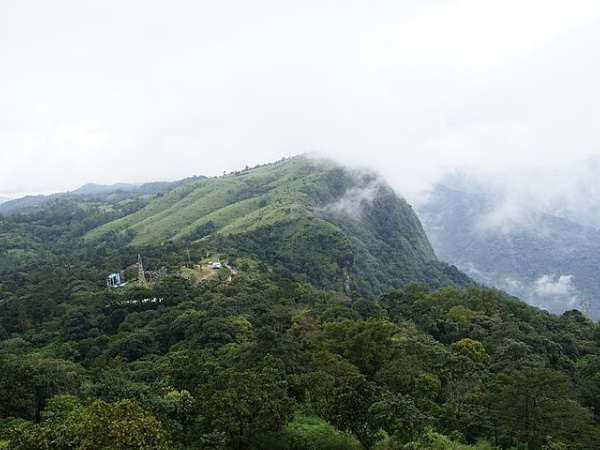 നെടുങ്കണ്ടം