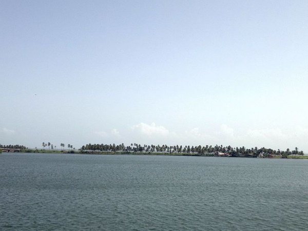 പൊന്നിൽ തീർത്ത ദ്വീപ്