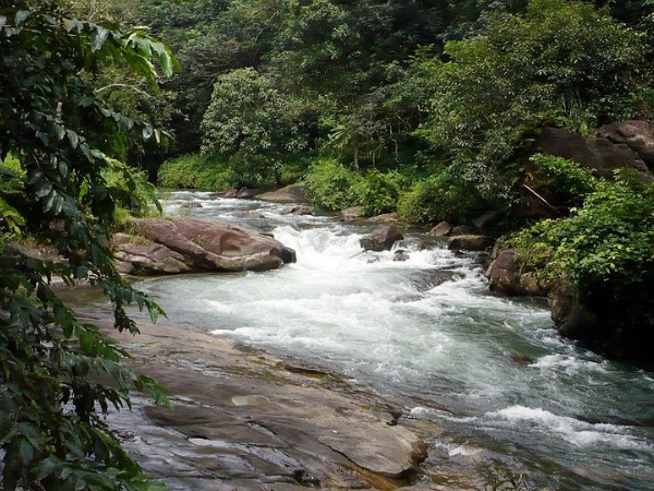 പൂഞ്ഞാർ