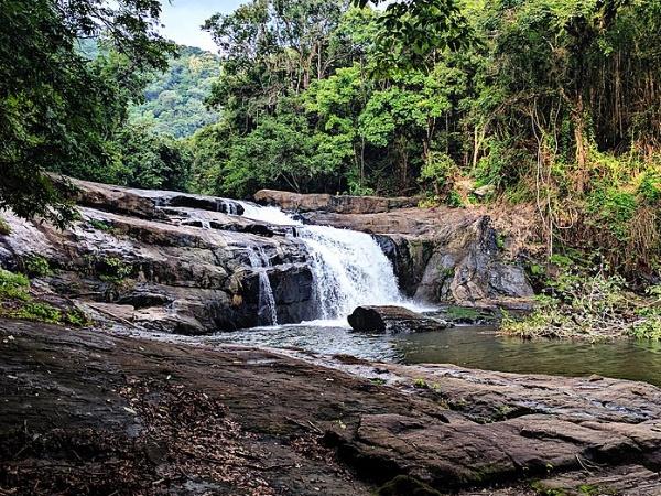 തൊമ്മൻകുത്ത് വെള്ളച്ചാട്ടം