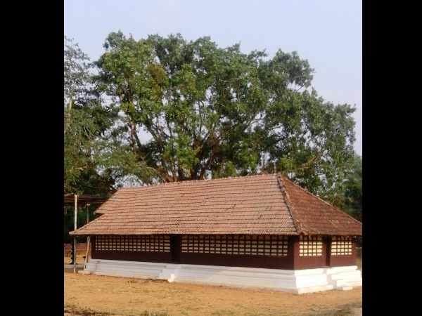ഗോത്രവര്‍ഗ്ഗക്കാരുടെ ഉത്സവം