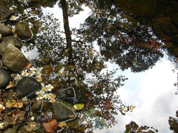  വെള്ളരിമല