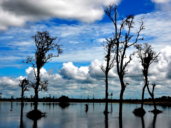 തേസ്പൂർ എന്നാൽ