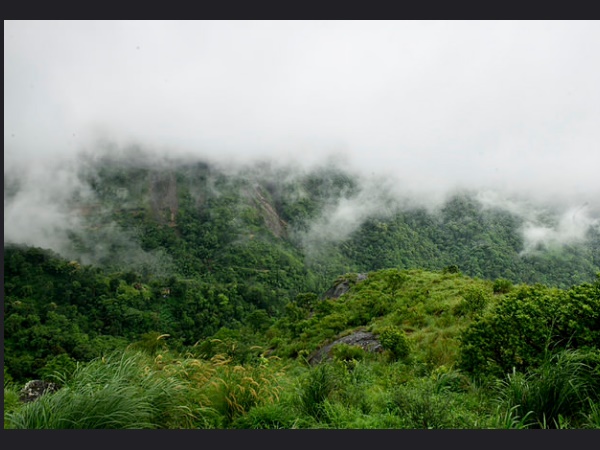 വാഗമണ്ണെന്നു കേട്ടാലോ..!!