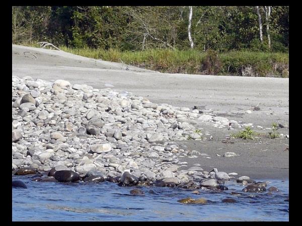 നമേരി നാഷണൽ പാർക്ക് സന്ദർശിക്കാൻ പറ്റിയ സമയം