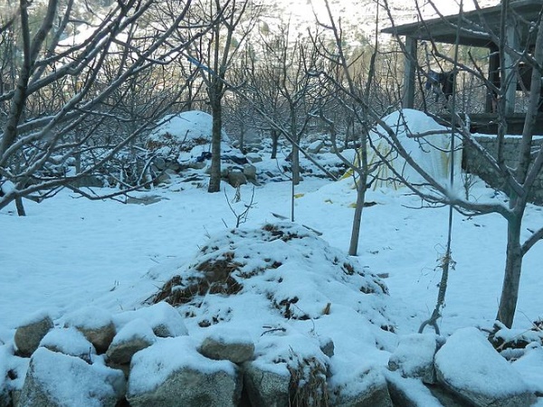 മണാലി സന്ദർശിക്കുവാൻ പറ്റിയ സമയം