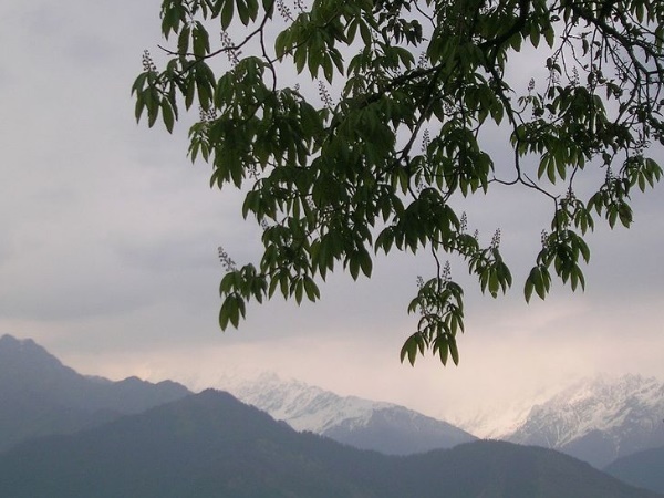 പിത്തോരാഗർഹ്