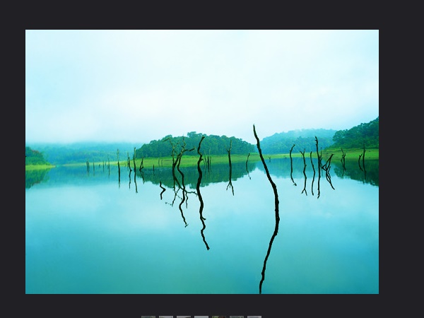 തേക്കടി