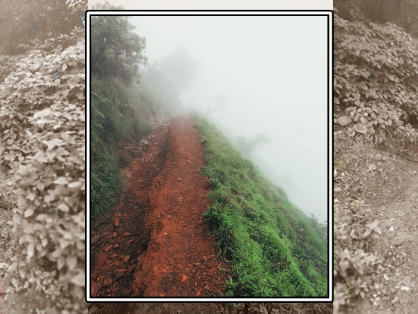 ഇവിടുത്തെ കാഴ്ചയാണ് കാഴ്ച