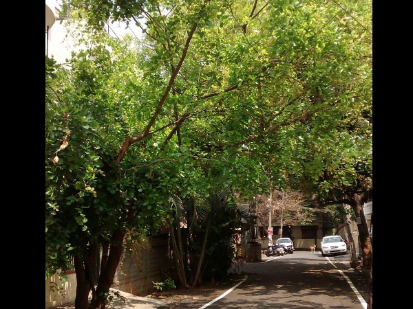 ബിടിഎം ലേ ഔട്ട്