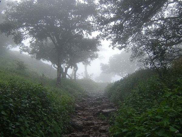 ഇതൊക്കെയെന്ത്