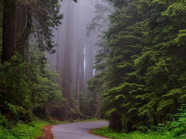 റോഡിനെക്കുറിച്ച് അറിവുണ്ടായിരിക്കുക