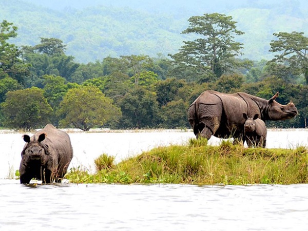 ഇവിടെ കാണാൻ