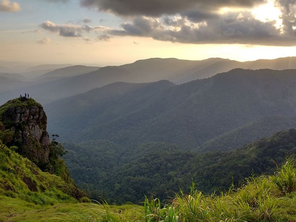 എന്റെ സാറേ...ആ കാറ്റ്