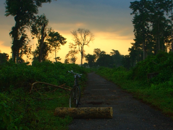 എന്തുകൊണ്ട് നമേരി നാഷണൽ പാർക്ക്