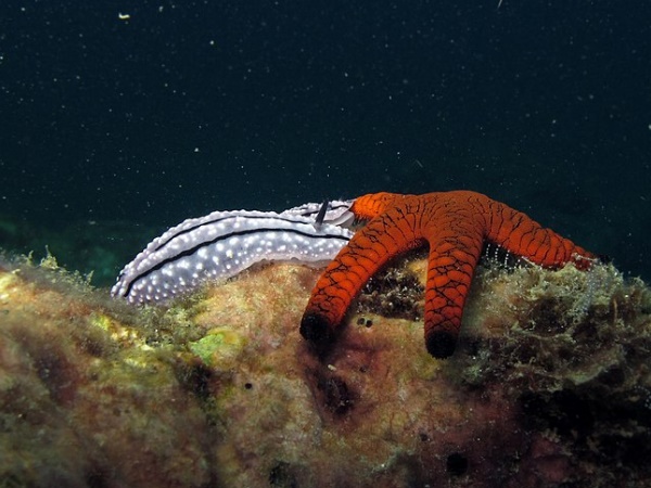 ക്യാംപ്ബെൽ വേ ദേശീയോദ്യാനം 