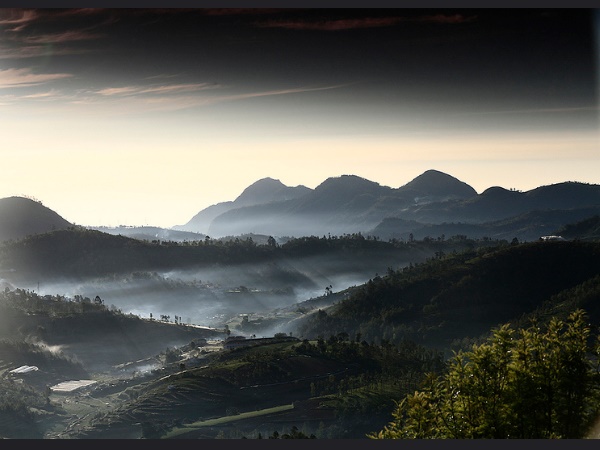 നീലഗിരി