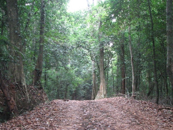 അങ്ങനെ മുകളിലേക്ക്