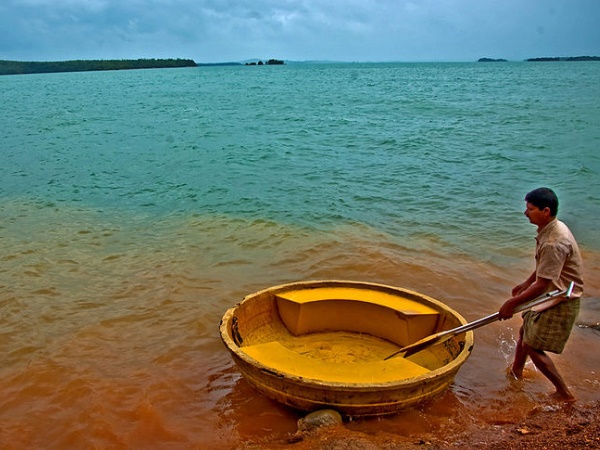 ഹൊന്നൈമരഡു