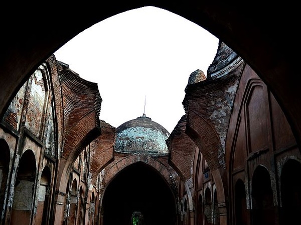 ഫൂട്ടി മോസ്ക്