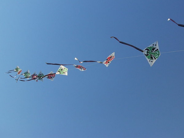 വരൂ പോകാം പട്ടം പറപ്പിക്കാം