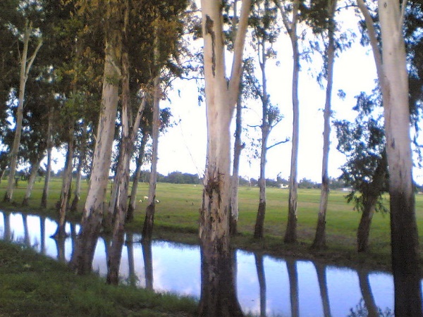  പിലിഭിത് 