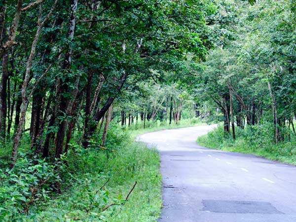 പുനലൂർ ടു തെന്മല