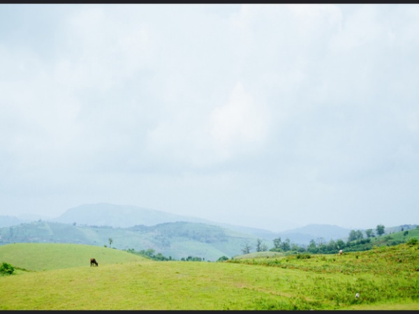 കാഴ്ചകളിലേക്ക്