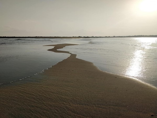  പ്രകൃതി ഒരു വികൃതി